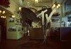 mtvcreative1