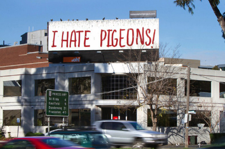 pigeons_outdoor_awards_mumbrella