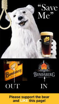 Bundaberg Rum Bear
