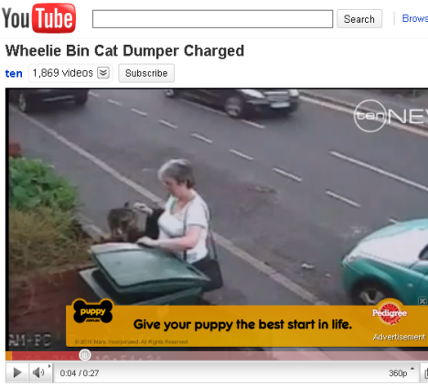 puppy_pedigree_youtube_cat