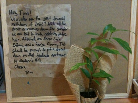 PR pubes and plant