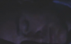 gulla_asleep