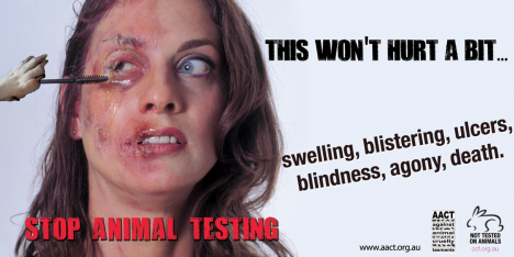 Against Animal Cruelty Tasmania billboard