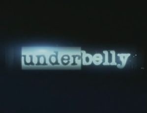 Nine turns to Chopper and actor Aaron Jeffery for next ‘Underbelly’ installment