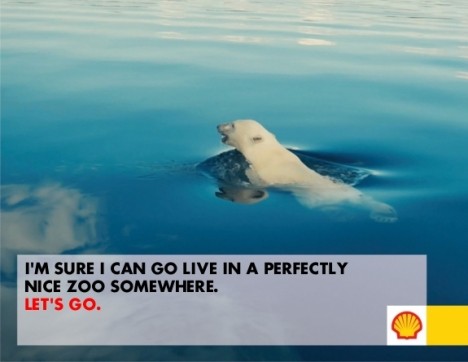 Shell