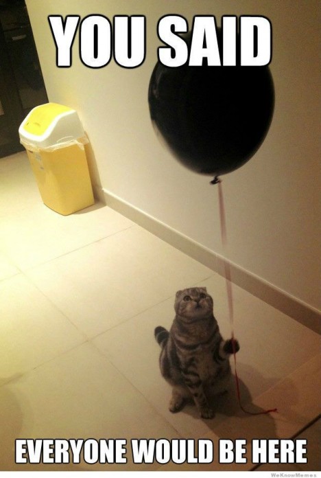 sad birthday cat