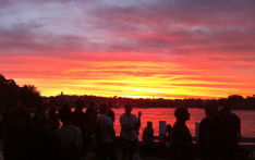 world movies goat island