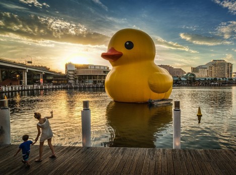 Rubber Duck