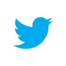 Exclusive: Twitter execs fly in to lay groundwork for Aussie office