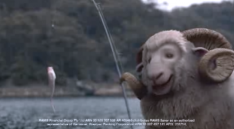 Rams ad still