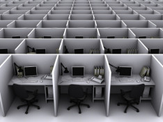 Office cubicles