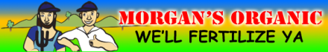 Morgan's Organic