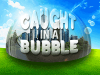 Bubble-Dome-USE-THIS