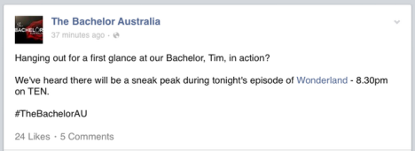 facebook bachelor wonderland