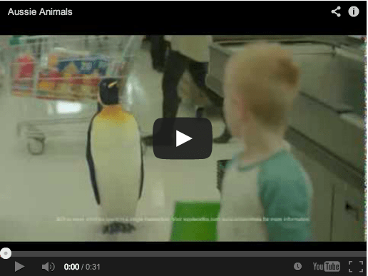 Wild animals roam Woolworths aisles for promotional campaign