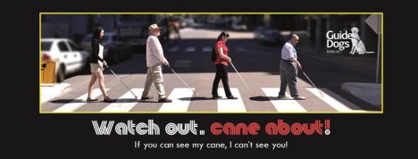 Watch Out, Cane About!