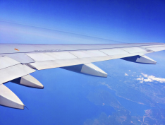 wing
