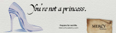 you're not a princess
