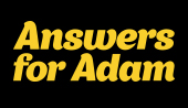 Answers for Adam: Should marketers follow Kyle Sandilands’ lead?
