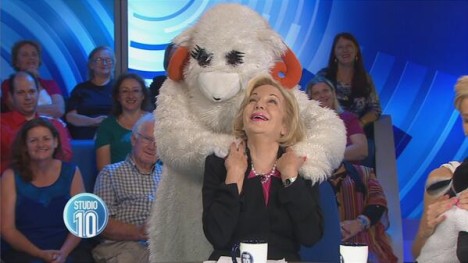 Ita massage giant sheep