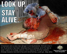 drop bear ad