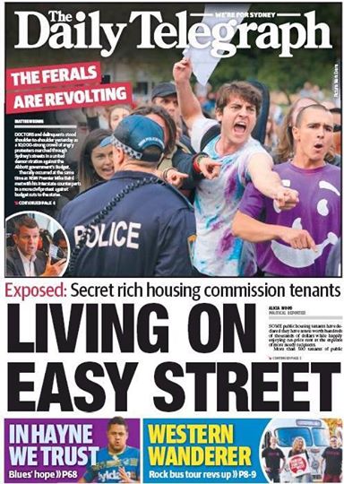Ferals Daily Telegraph