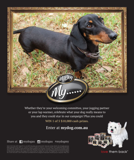 My Dog_Magazine