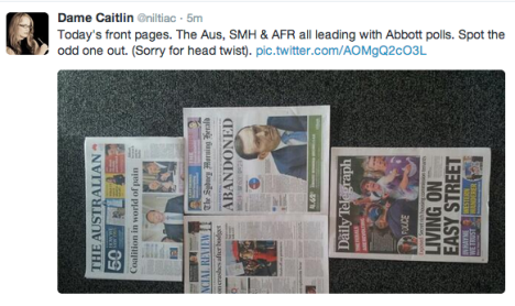 Daily Telegraph Twitter reaction