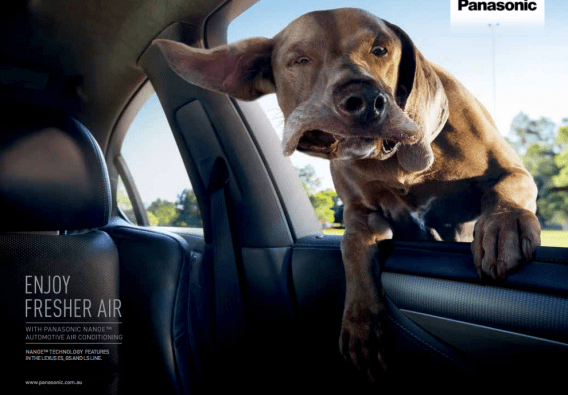 Terry, Richard and Mark: Tell me, are these winning Australian ads actually scam?