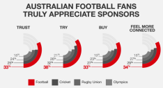 Octagon infographic