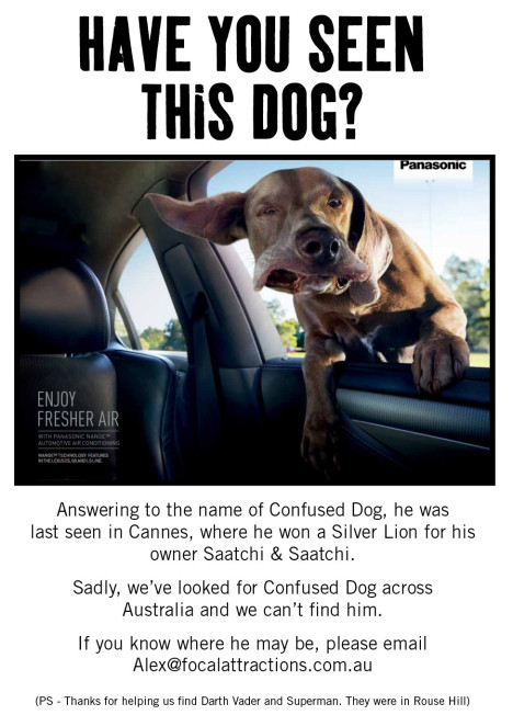 dogposter_confused2