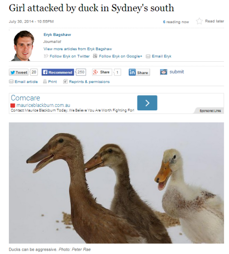 girl attacked by duck