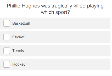 hughes cricket