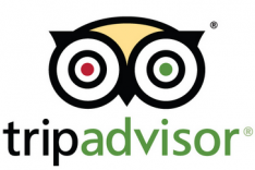tripadvisor logo