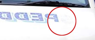 The S can be made out on the website image