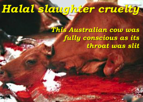 The flyer image deemed unjustifiably violent by the ASB. 