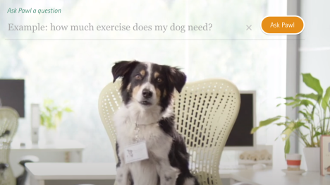 Blackmores pet range campaihn