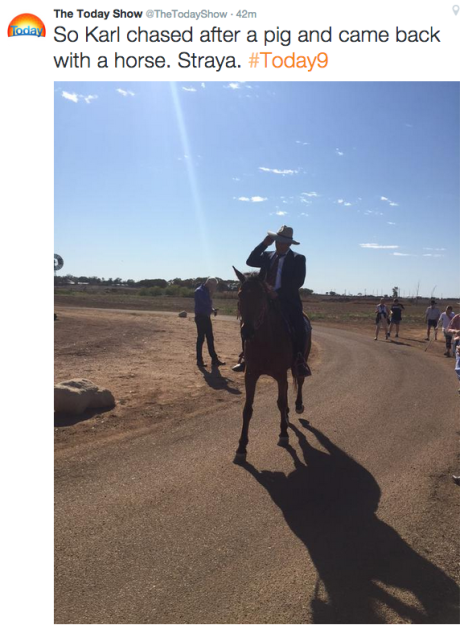 stefanovic pig horse
