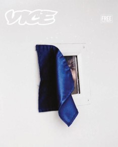 Vice Incarceration