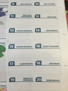 Spot the balls up: Fairfax's Melbourne Cup guide