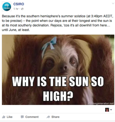 Sun sloths