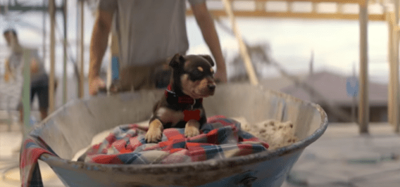 KFC continues its advertising reinvention with the tale of a tradie and his dog