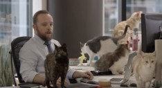 Seek's new employer research camapign