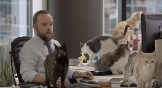 Seek company research campaign puts spotlight on quirky perks of the modern office