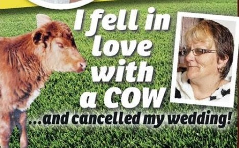 take 5 cow