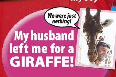 take 5 giraffe