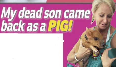 take 5 pig