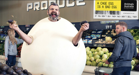 Animals Australia trades horror for humour in new anti-cage eggs campaign