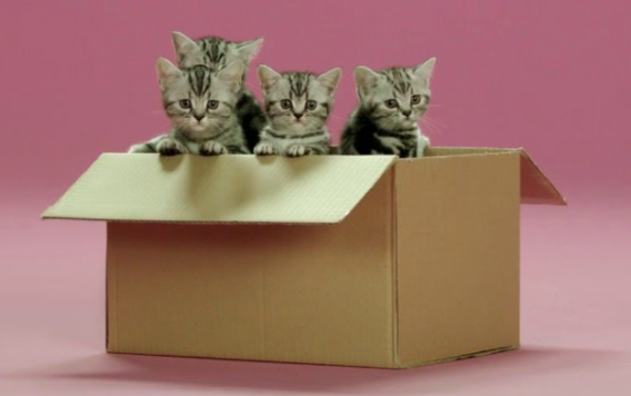 Whiskas explores feline curiosity with new Clemenger ‘Cat Hacks’ campaign