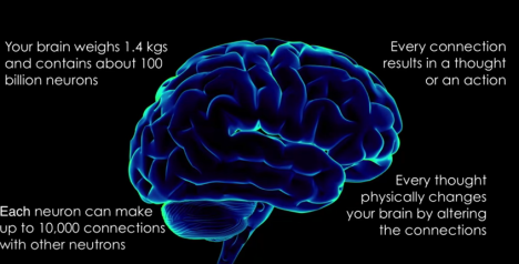 mumbrella360-brains and brands-brain pic